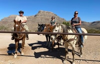Reiten durch Joshua Tree Forest mit Buffalo & Mittagessen - Hizvo