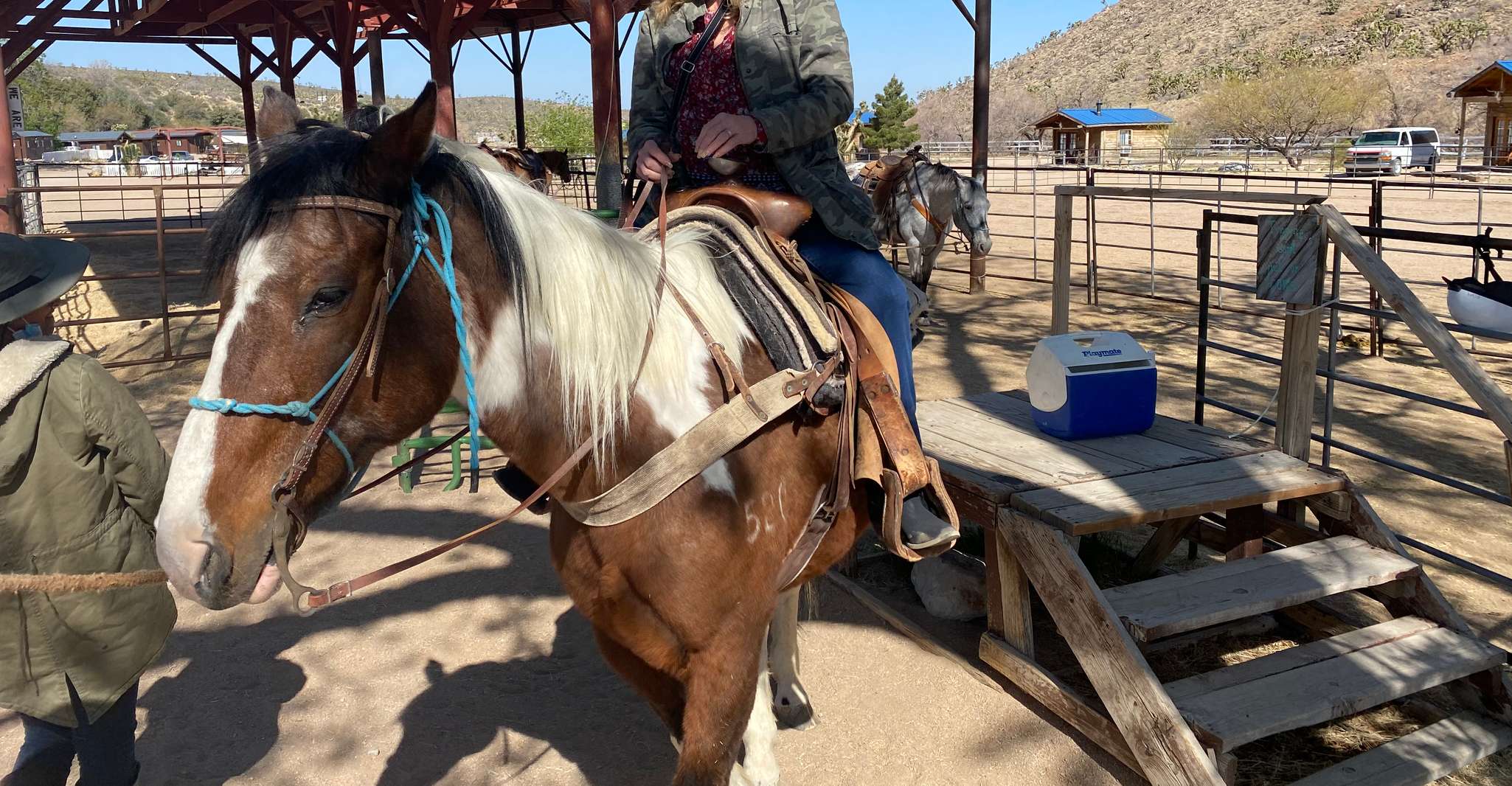 Horseback Ride thru Joshua Tree Forest avec Buffalo & Déjeuner - Hizvo