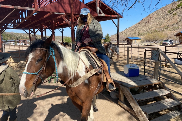 Las Vegas: balade à cheval dans la forêt de Joshua Tree avec déjeuner