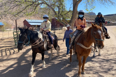 Las Vegas: Joshua Tree Forest paardrijden met lunch