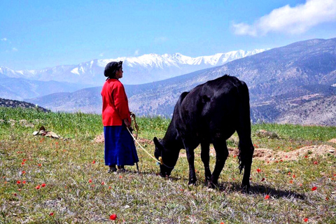 2 días de caminata en el Atlas con los lugareños.. / Pueblos vírgenesViaje exclusivo en 2D Explora las montañas del Atlas/Pueblos Vírgenes