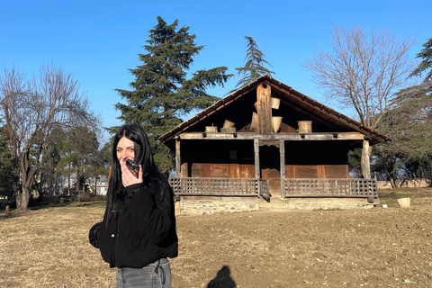 تبليسي: 12 منطقة في جورجيا - جولة مع خدمة النقل ذهابًا وإيابًا