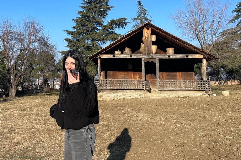 تبليسي: 12 منطقة في جورجيا - جولة مع خدمة النقل ذهابًا وإيابًا