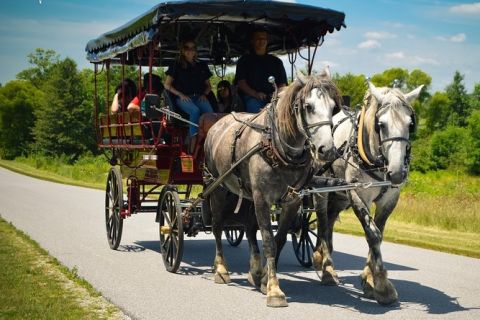 Gettysburg: Battlefield Tour in Horse-Drawn Carriage