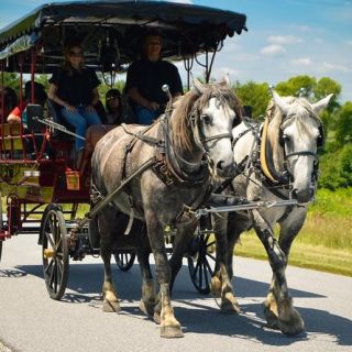 Gettysburg: Battlefield Tour in Horse-Drawn Carriage