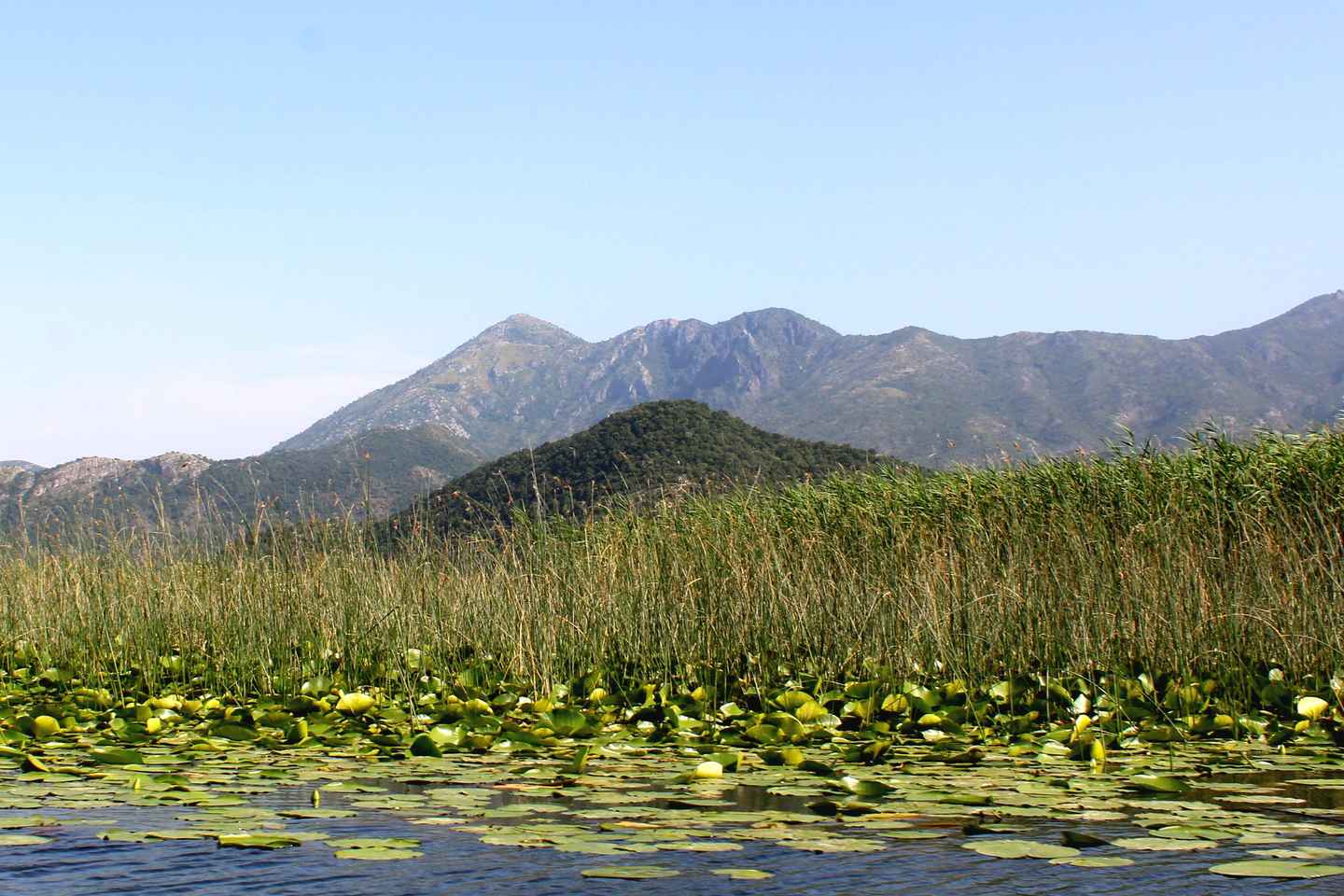 Croisière au lac Skadar vers la forteresse Grmožur