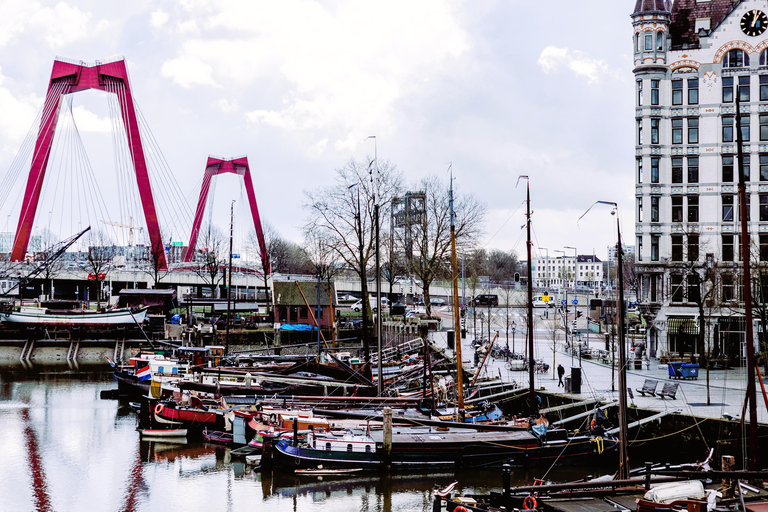 Rotterdam: Tour a pie gratuito todo en uno