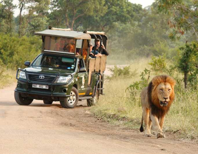 Parc national Kruger : safari privé d'une journée avec prise en charge