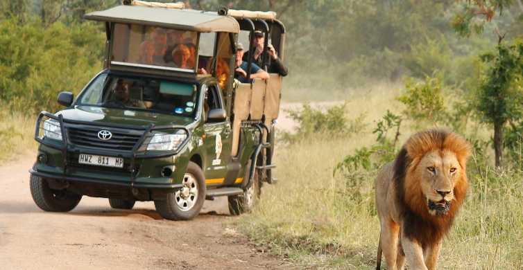 Parque Nacional Kruger: Safari privado de dia inteiro com coleta | GetYourGuide