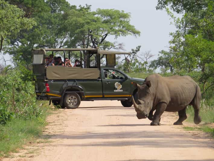 Kruger National Park: Full-Day Private Safari With Pickup | GetYourGuide