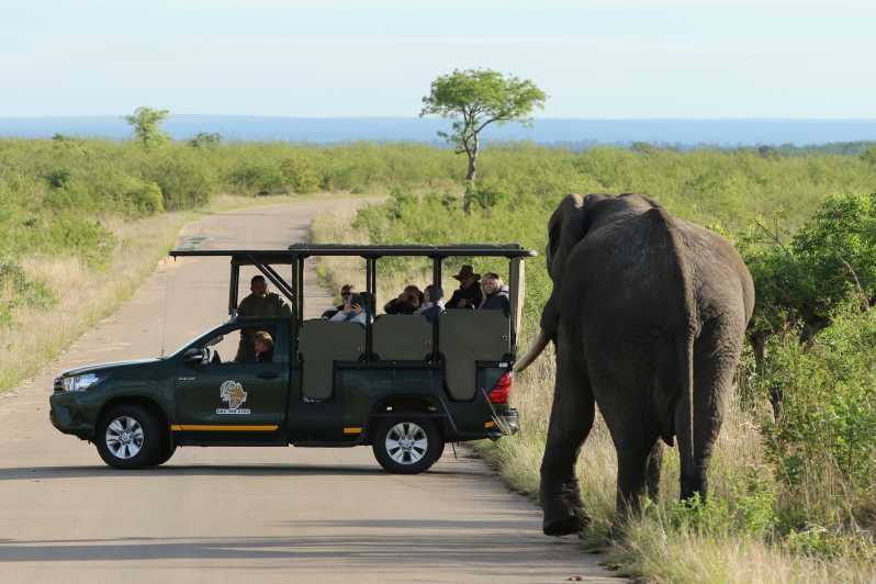 safari kruger park tour operator