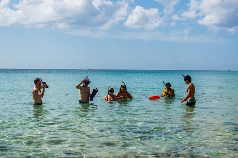 Cozumel: Private Buggy Tour with Lunch & Snorkeling Standard Option