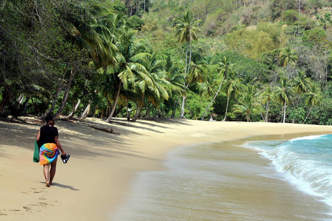 Little Tobago: Glass Bottom Boat Tour