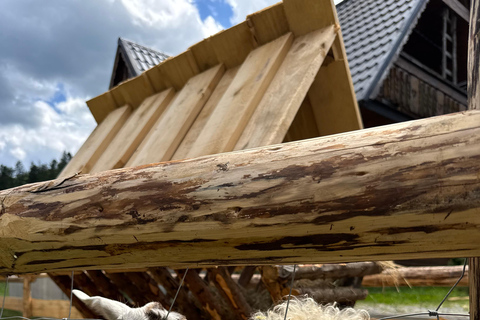 Kraków: Zakopane Horse ride & Thermal Baths Day Trip