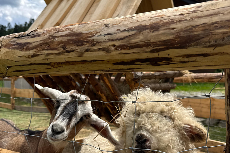 Kraków: Zakopane Horse ride & Thermal Baths Day Trip