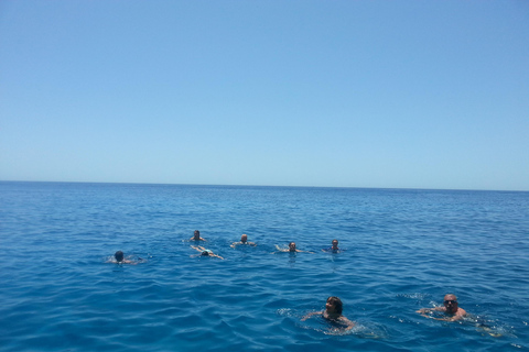 Zante: Excursión a las Tortugas en la Isla de Marathonisi y Cuevas de Ceri