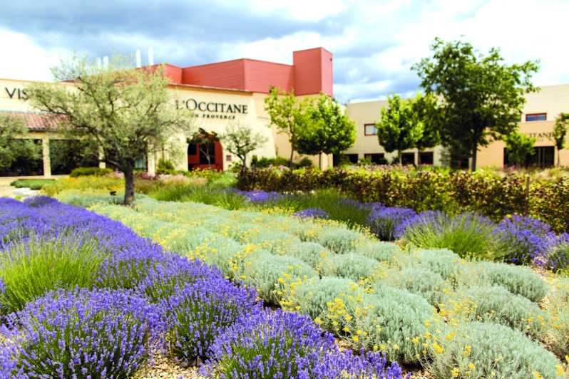 Manosque: L'Occitane en Provence Guided | GetYourGuide