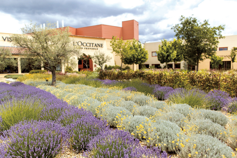 Manosque: L'Occitane en Provence Guided Factory Tour French Tour