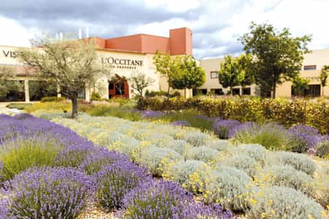 Manosque: L'Occitane en Provence Guided Factory Tour