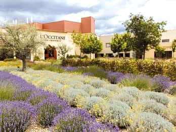 Manosque: Geführte Werksbesichtigung von L'Occitane en Provence Manosque: Geführte Werksbesichtigung von L'Occitane en Provence
