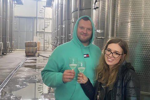 Tbilisi: Private Kakheti Wine Tour & Sighnaghi Great Wall