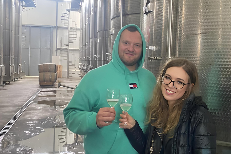 Tbilisi: Private Kakheti Wine Tour & Sighnaghi Great Wall