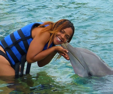 Coral World Ocean Park: Dolphin Moment