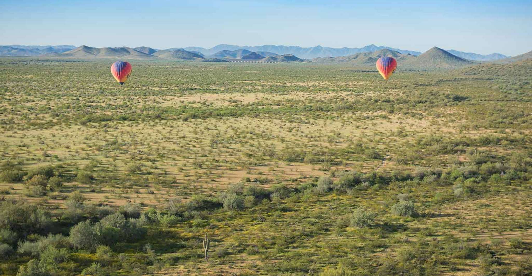 Phoenix, Hot Air Balloon Ride mit Champagner und Catering - Hizvo