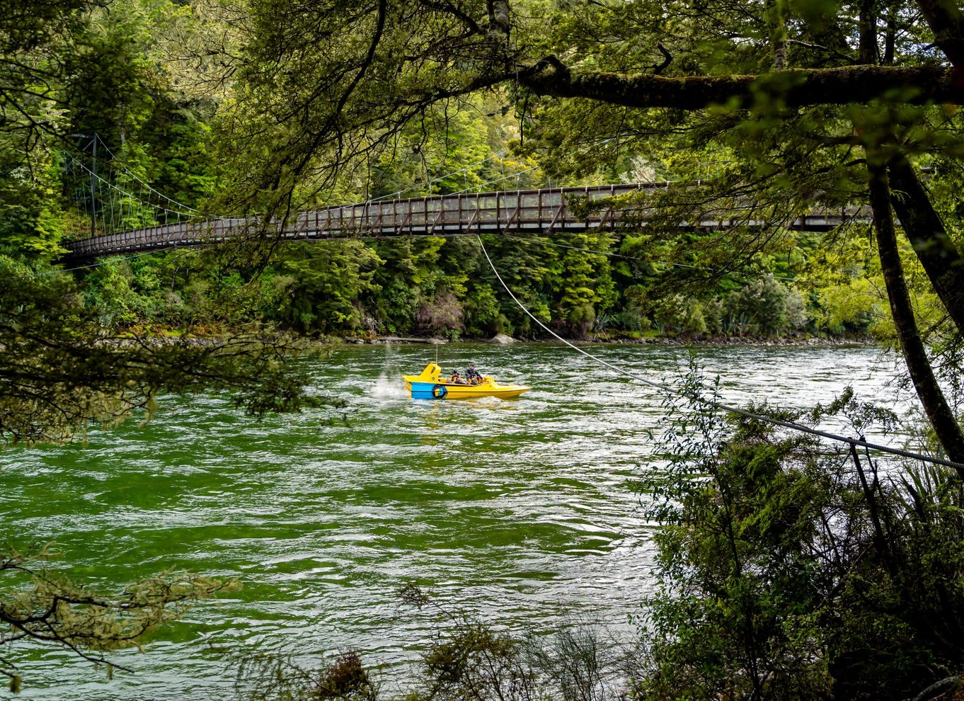 Te Anau: River Jet Boat og cykeltur med lokal guide