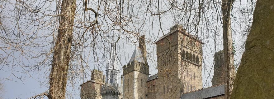 Au départ de Cardiff : Visite de la baie de Cardiff et de la vallée de Glamorgan