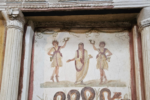 Pompeii: Private Guided Tour with Herculaneum – 3 Options Pompeii Herculaneum & Naples