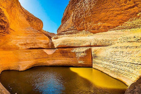 Von Ica aus: Ganztagesausflug zum Los Perdidos Canyon