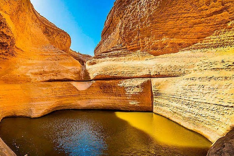 Von Ica aus: Ganztagesausflug zum Los Perdidos Canyon