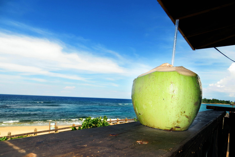 Recorrido gastronómico y cultural en coche por San Juan