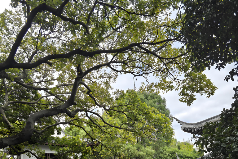 Shanghai: Film Park and Zhujiajiao Water Town Tour