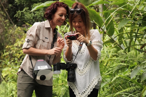 Cairns: recorrido fotográfico de insectos de los jardines botánicos de Cairns
