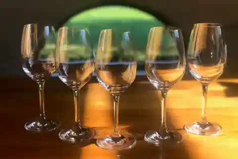 From Blenheim: Private Customizable Winery and Omaka Tour