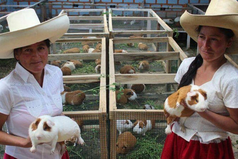 Cajamarca: Guinea Pig Route & Water Mills Tour Cajamarca: Guinea Pig Route & Water Mills – Spanish Guide