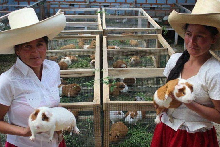Cajamarca: Guinea Pig Route & Water Mills Tour Cajamarca: Guinea Pig Route & Water Mills – Spanish Guide