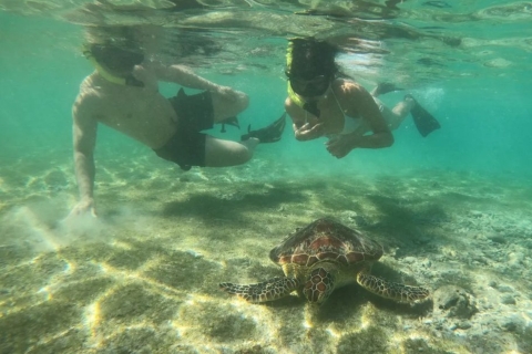 Gili Trawangan: Gili eiland 3 plekken snorkelen met schildpadden