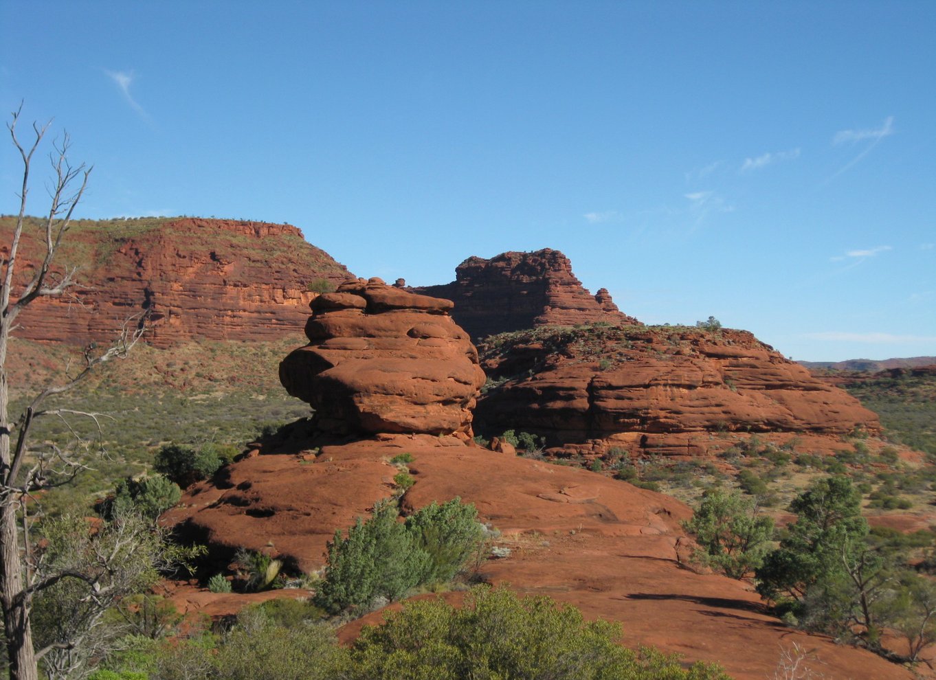 Alice Springs: 4WD Palm Valley Tour med frokost