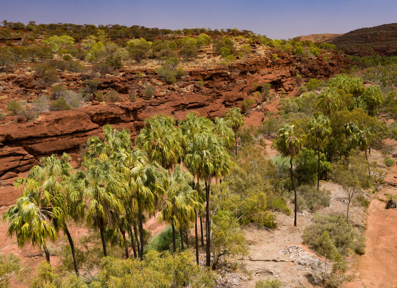 Alice Springs: 4WD Palm Valley Tour med frokost