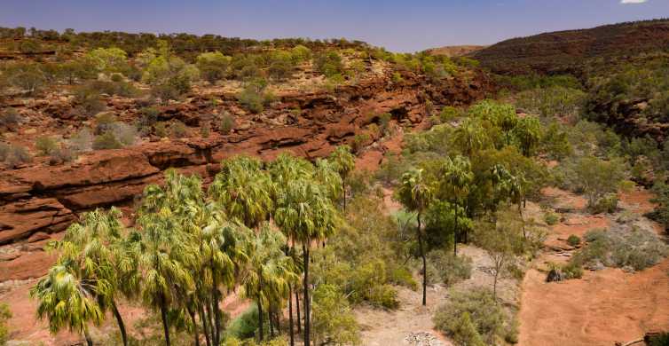 Alice Springs 4WD Palm Valley Tour with Lunch