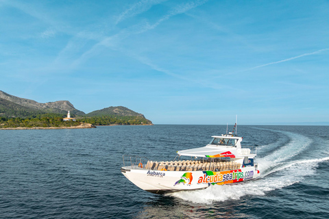 Alcudia: Dolphin Adventure Cruise