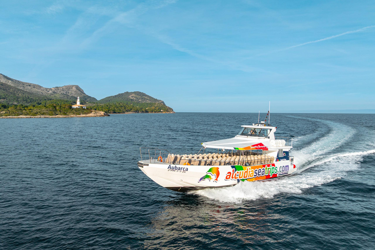 Alcudia: Dolphin Adventure Cruise