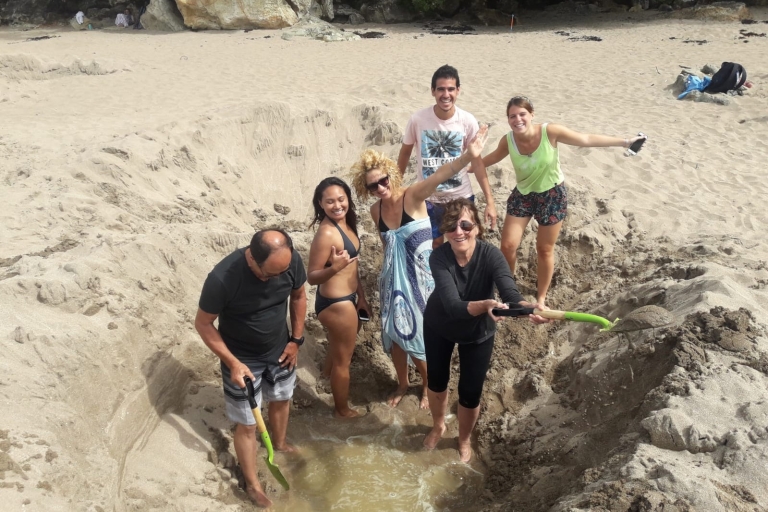 Auckland: Półwysep Coromandel i wycieczka na plażę z gorącą wodą