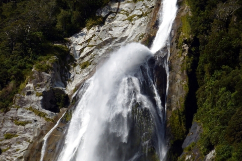 From Te Anau: Milford Sound Tour with Cruise and Lunch