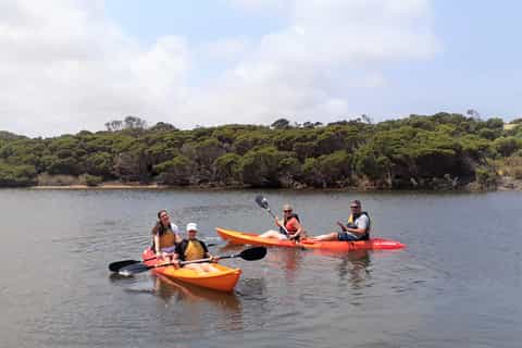 Kangaroo Island: Guided Kayak Tour on Harriet River