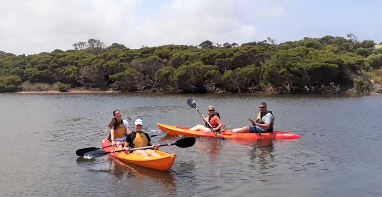 Kangaroo Island Guided Kayak Tour on Harriet River