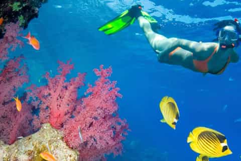 Punta Cana: Dune Buggy Adventure and Snorkeling Cruise
